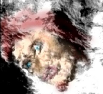 Illustration for article titled The Gorilla On Mars Isn't The Weirdest Thing We've Spotted There